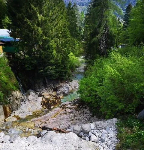 Apartament Apartma Pika *